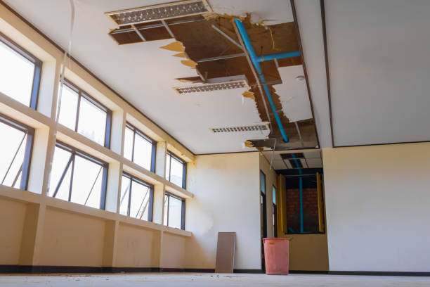 Best Water damage restoration near me  in Wilmington Island, GA