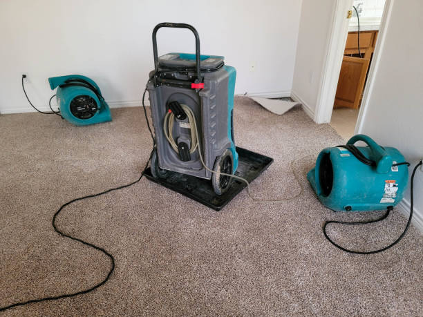 Best Sewage cleanup and water damage restoration  in Wilmington Island, GA