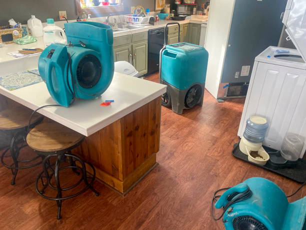 Best Water damage cleanup near me  in Wilmington Island, GA