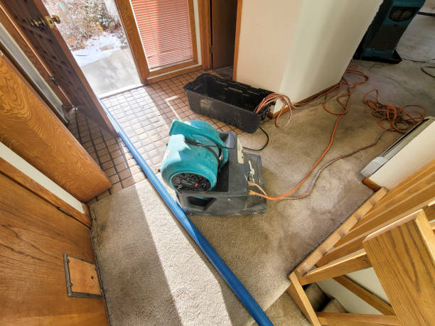 Best Water damage contractors near me  in Wilmington Island, GA