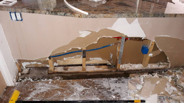 Best 24/7 water damage repair  in Wilmington Island, GA