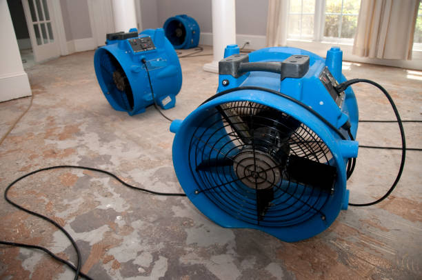 Best Emergency water damage restoration  in Wilmington Island, GA