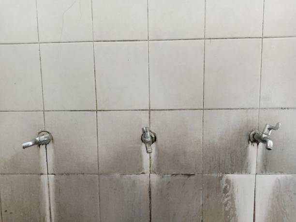 Best Water damage restoration near me  in Wilmington Island, GA