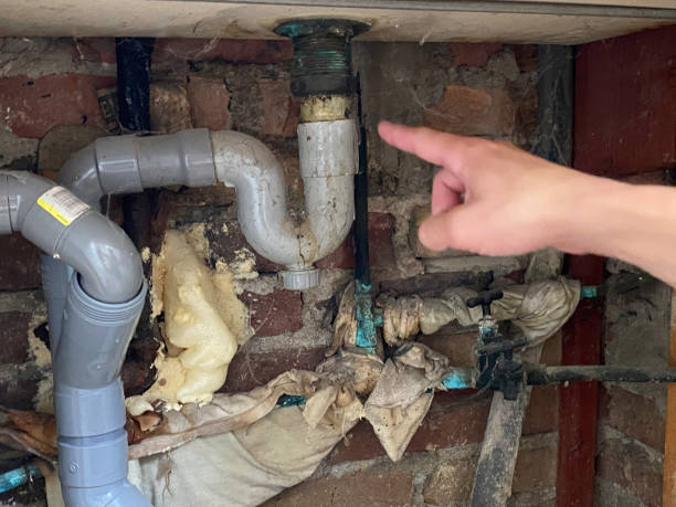 Best Basement water damage restoration  in Wilmington Island, GA