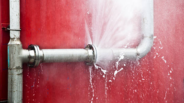 Best Local water damage restoration  in Wilmington Island, GA